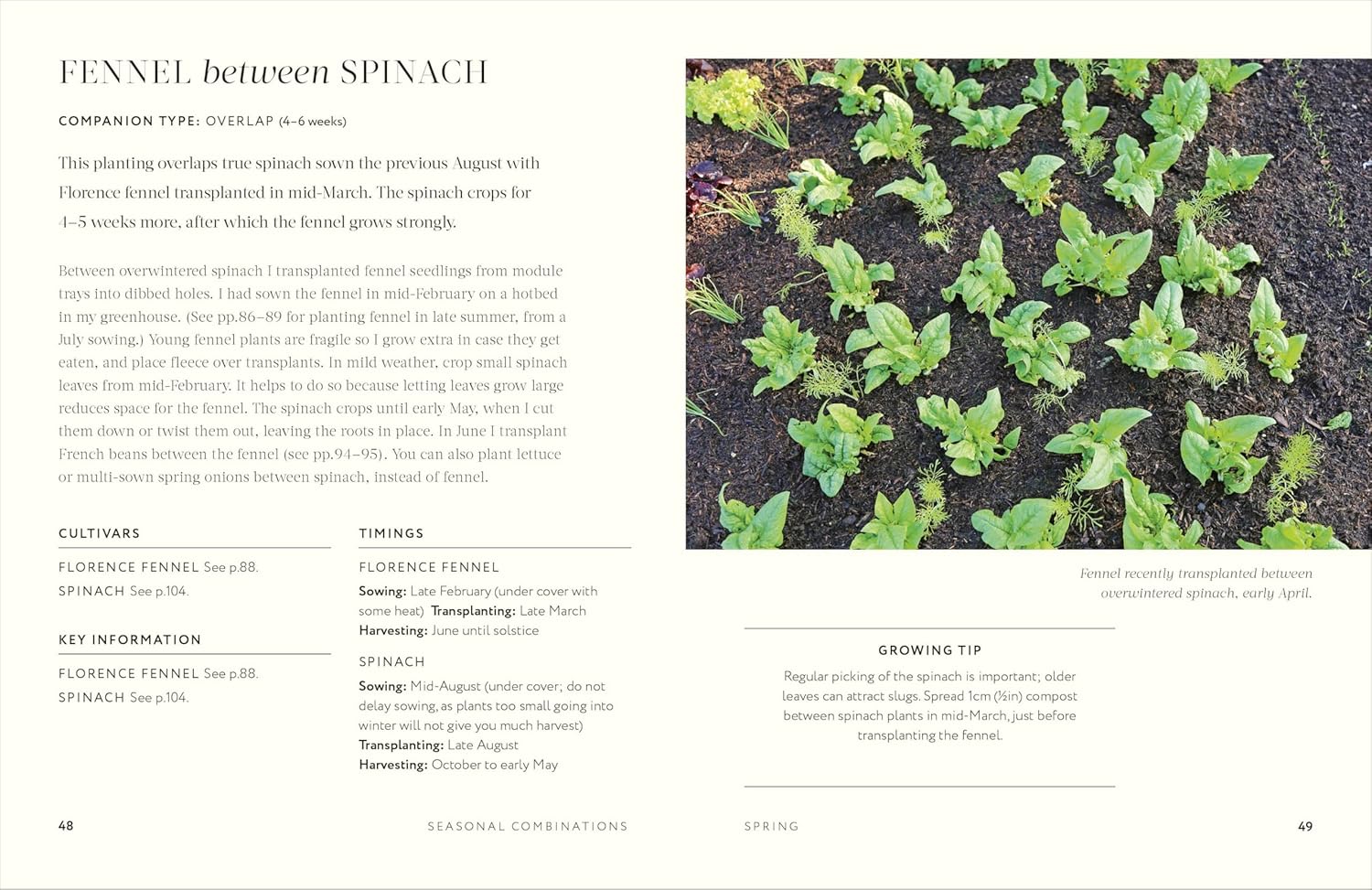 Grow Together: 50 planting partnerships to boost your harvests