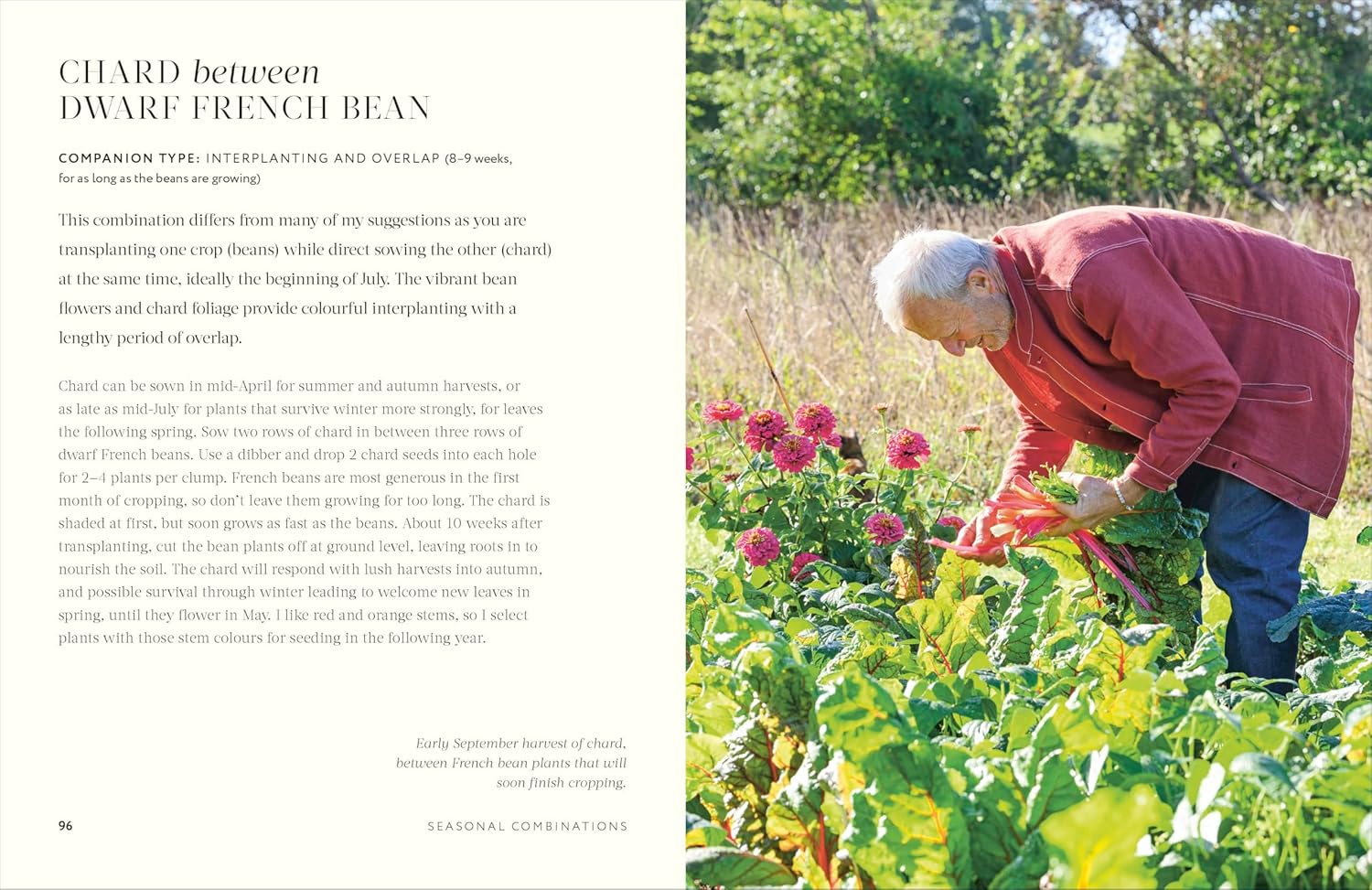 Grow Together: 50 planting partnerships to boost your harvests