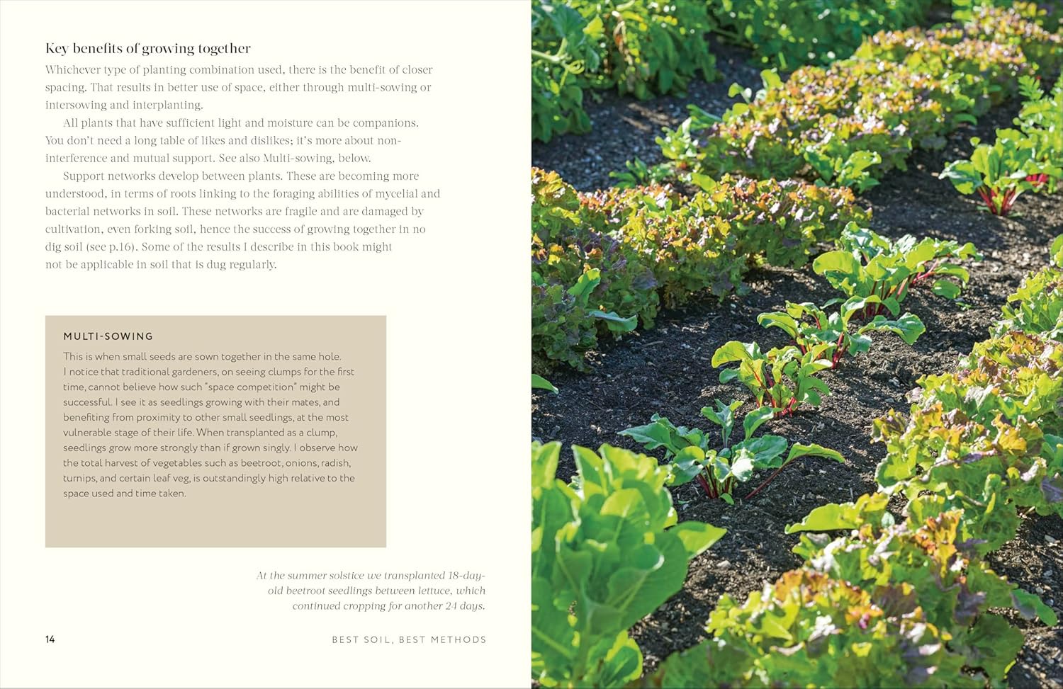 Grow Together: 50 planting partnerships to boost your harvests