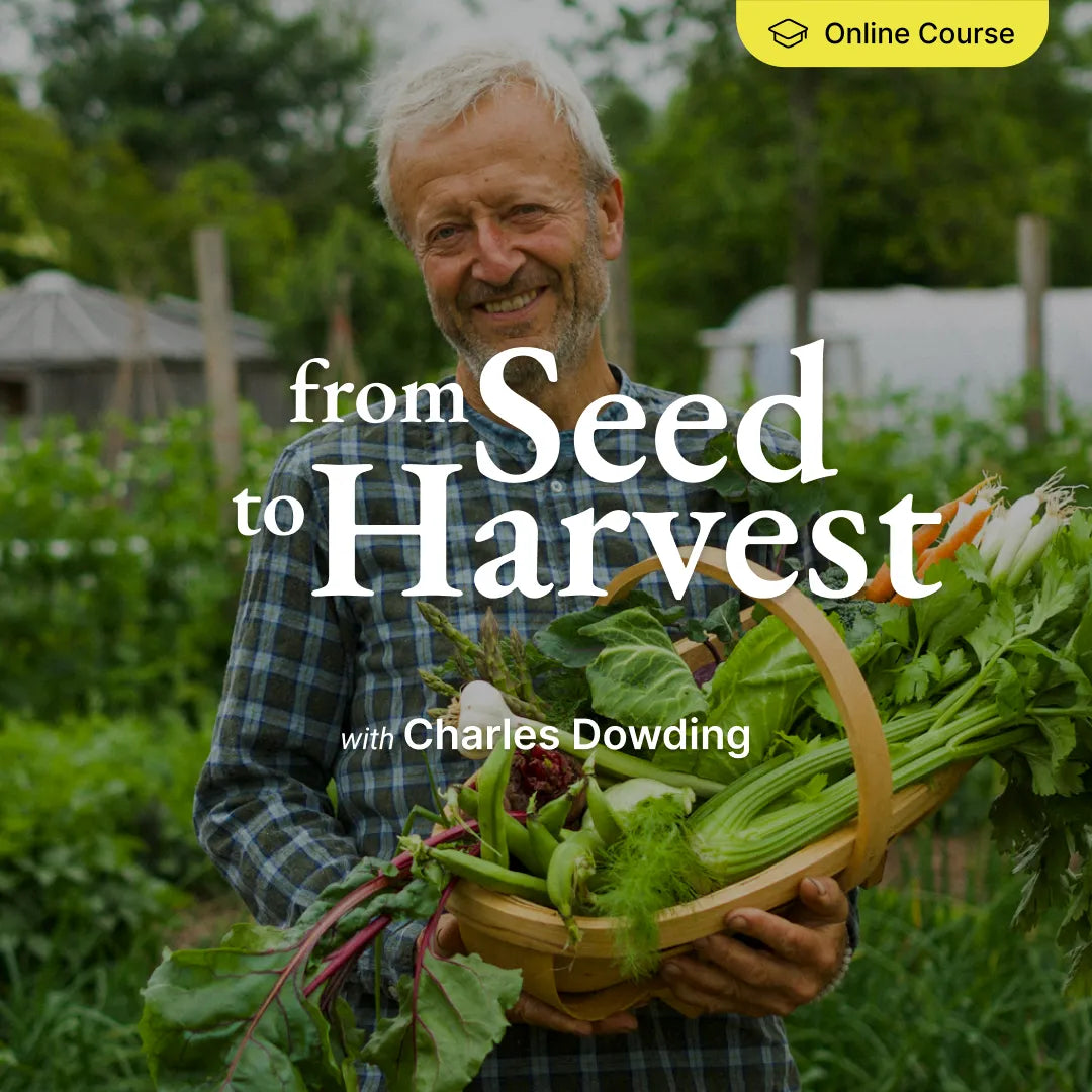 From Seed To Harvest - Online Course