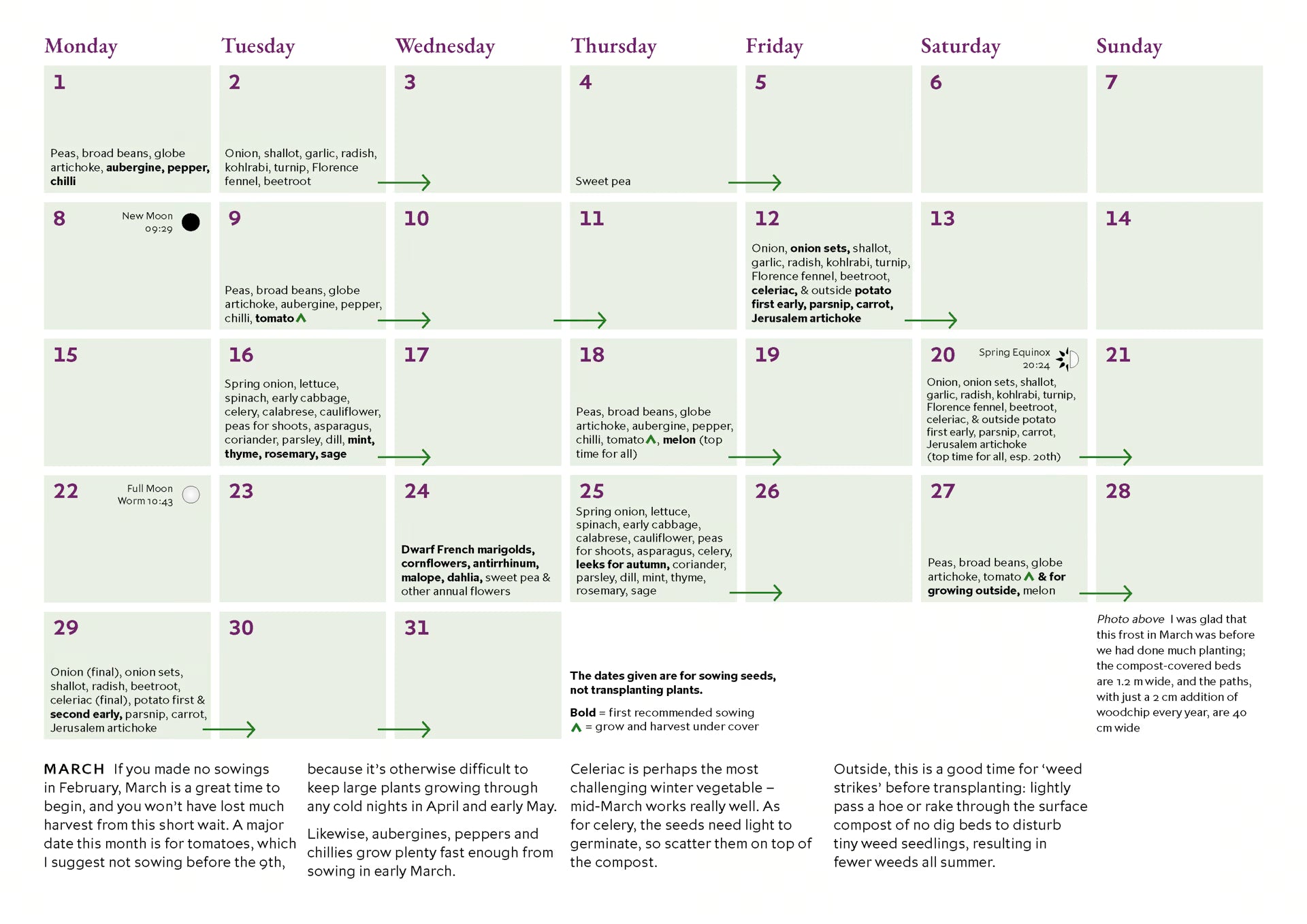 Charles Dowding’s Calendar of Vegetable Sowing Dates 2027 (Digital)