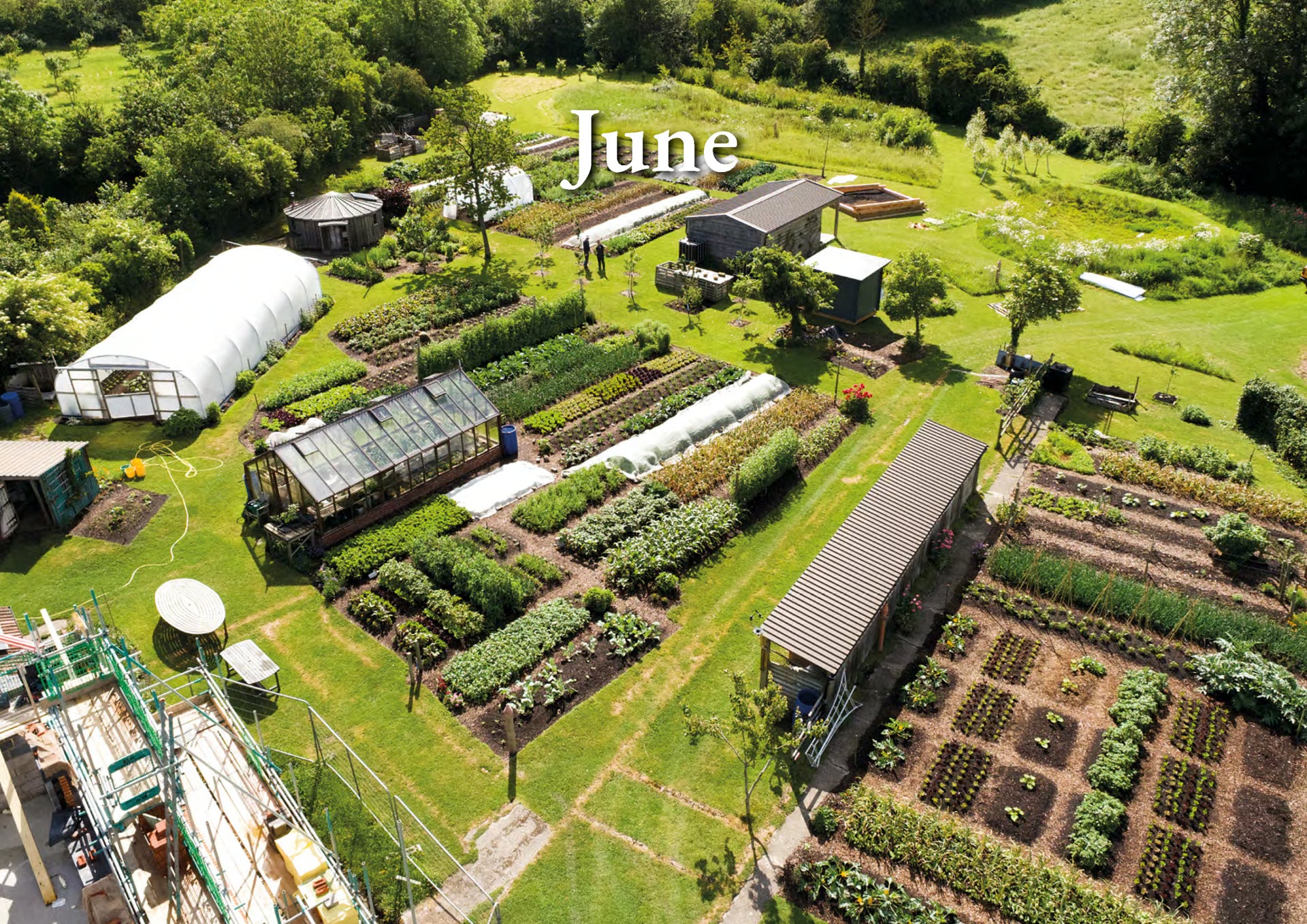 Charles Dowding’s Calendar of Vegetable Sowing Dates 2027 (Digital)