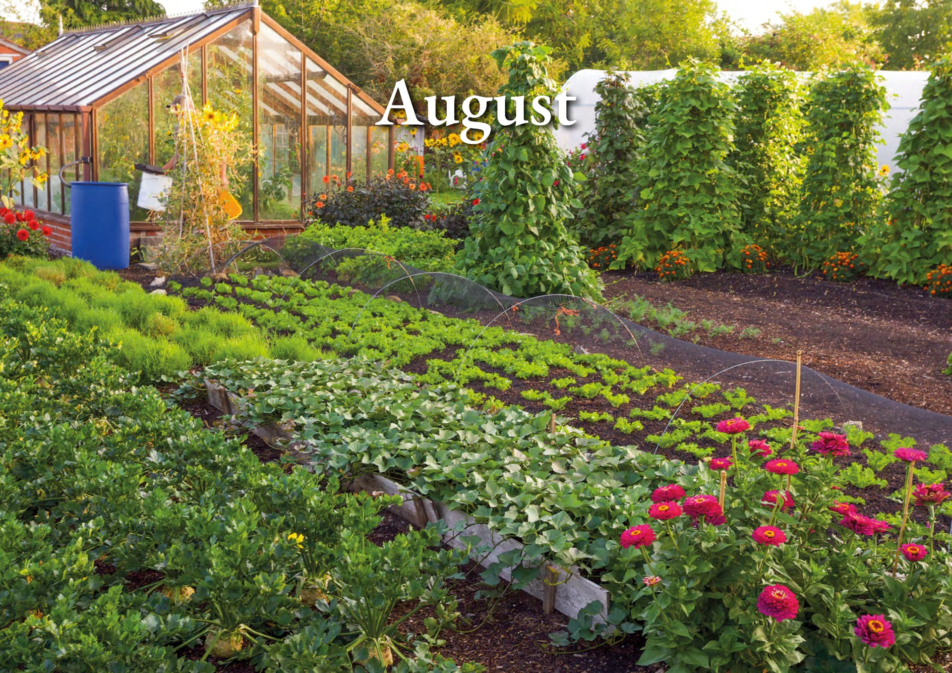 Charles Dowding’s Calendar of Vegetable Sowing Dates 2027