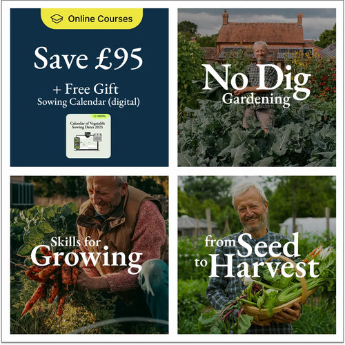 3-course bundle + free digital Sowing Calendar