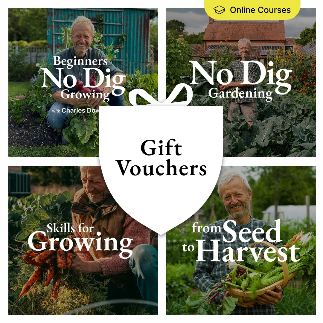 Gift Vouchers – Online Courses