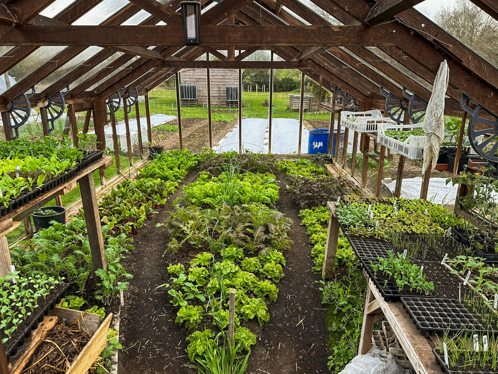 *NEW! Under Cover Growing – Online Course