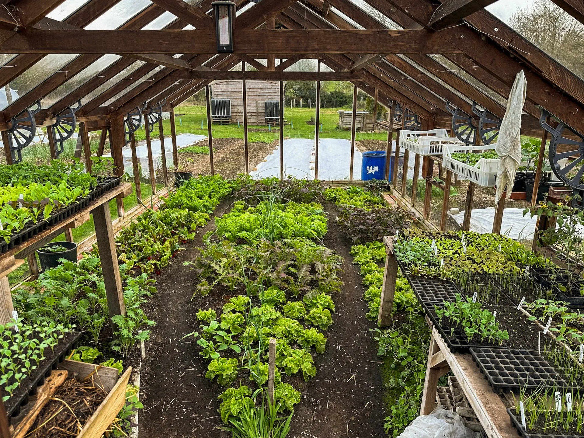 *NEW! Under Cover Growing – Online Course