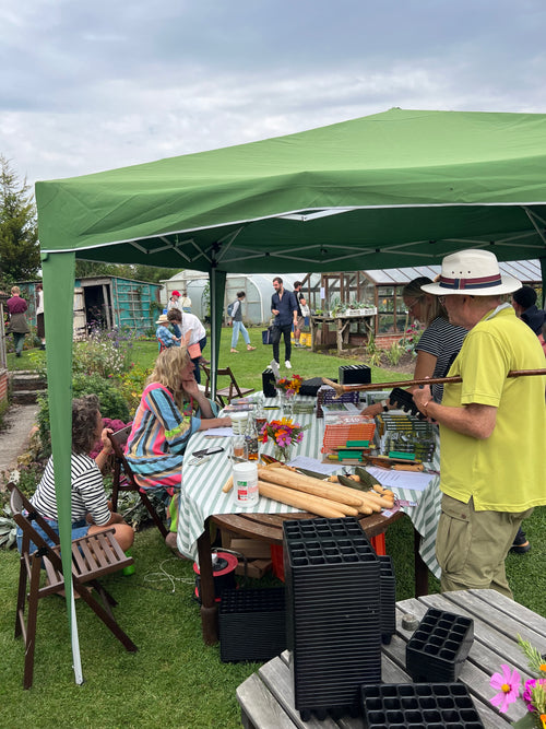 Alhampton Open Gardens Afternoon