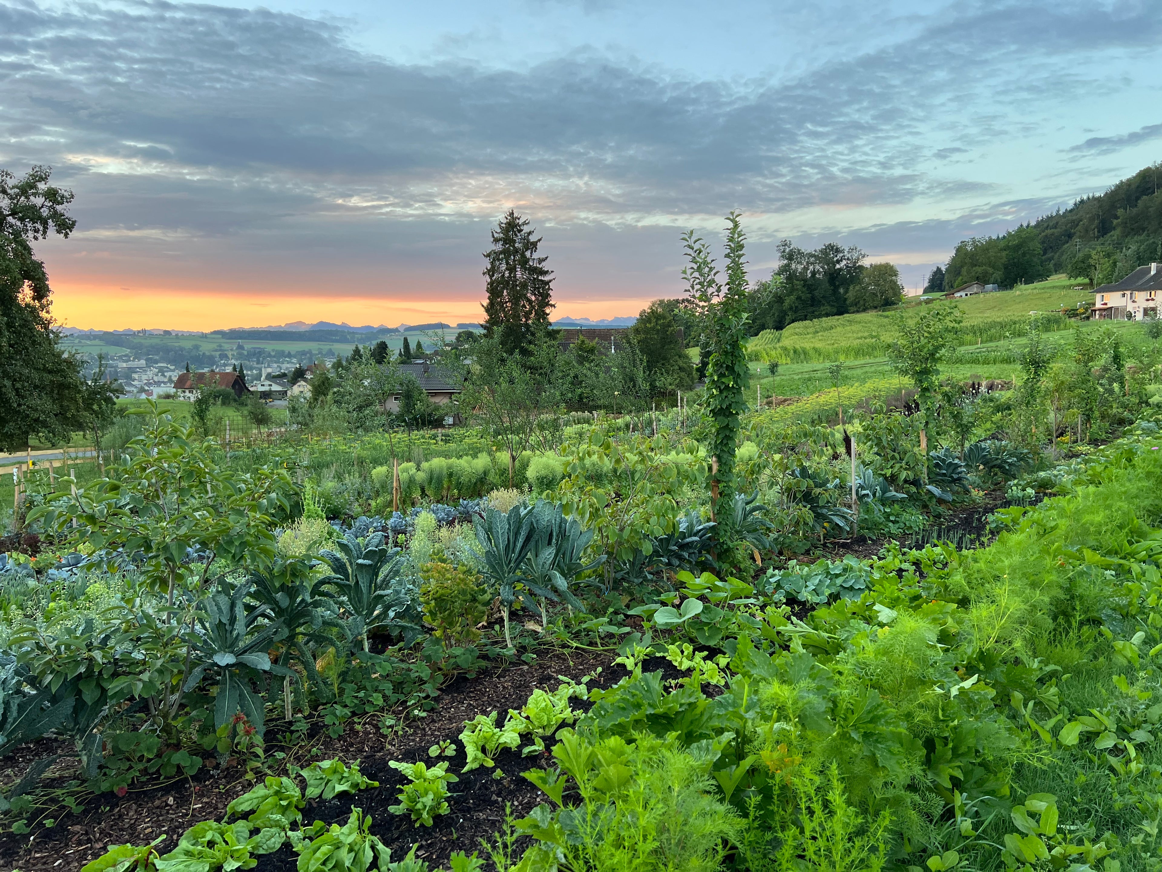 No Dig Workshop at Gaias Garden in Pfeffikon, Switzerland.