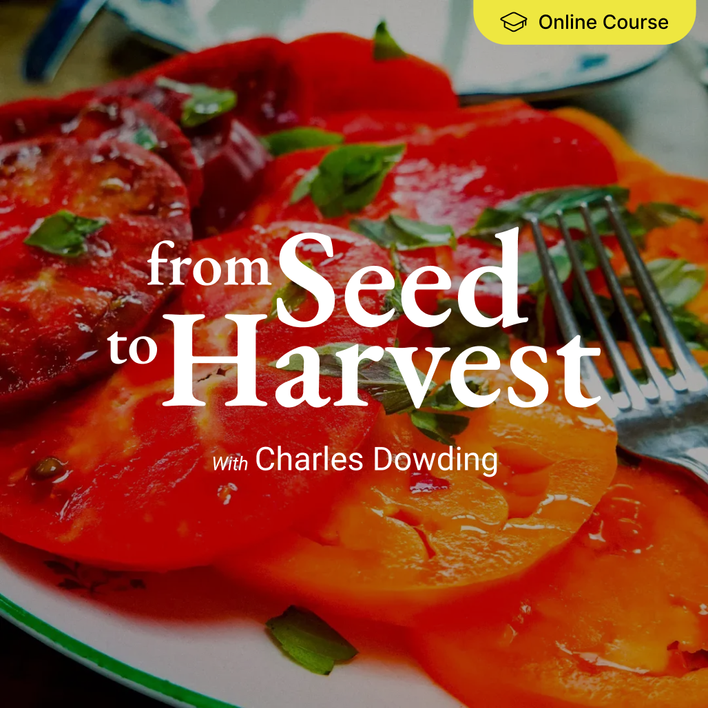 Charles Dowding – Homestead Bundle 2024