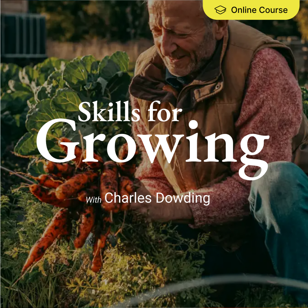 3-course bundle + free digital Sowing Calendar