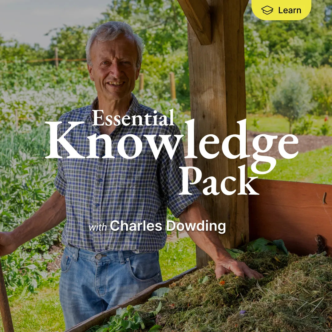 NEW! Essential Knowledge - Foundations for Success
