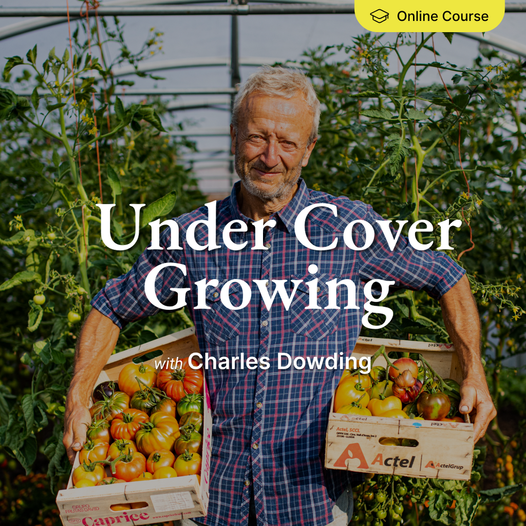 *NEW! Under Cover Growing – Online Course