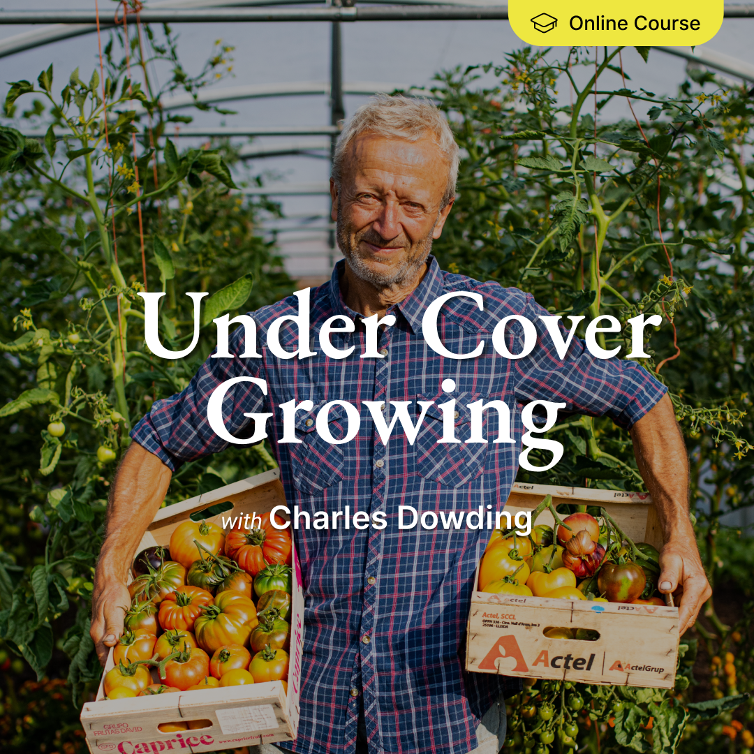 *NEW! Under Cover Growing – Online Course