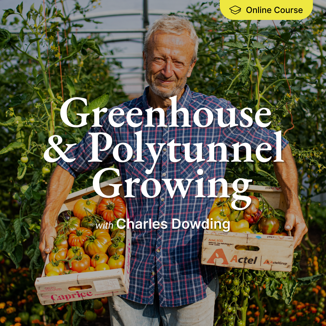 *NEW! Greenhouse & Polytunnel Growing – Online Course
