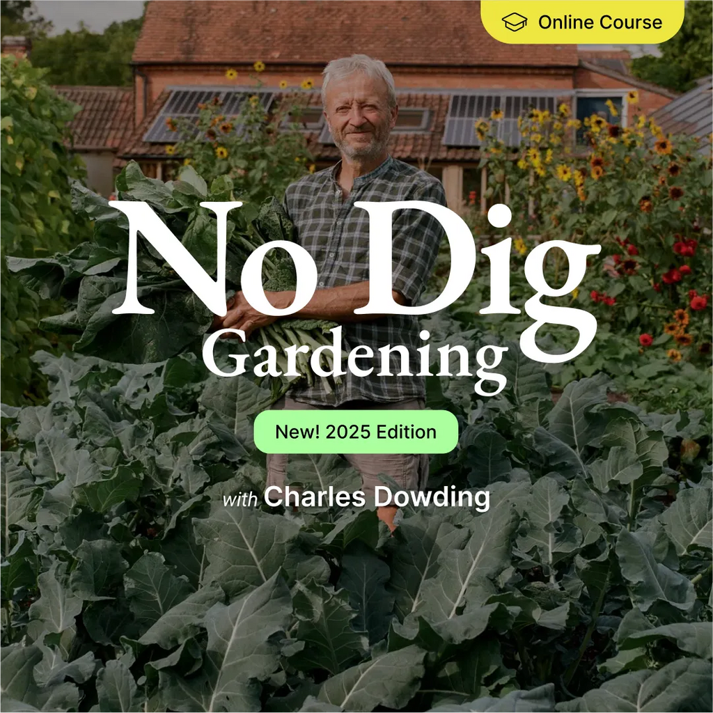 3-course bundle + free digital Sowing Calendar