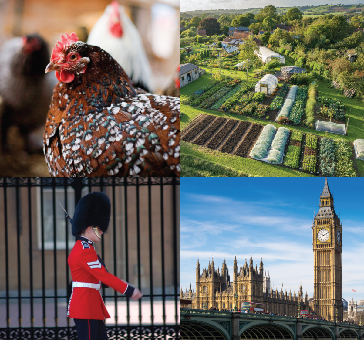 An eleven day tour of England and an afternoon at Homeacres, 8th to 18th June 2027