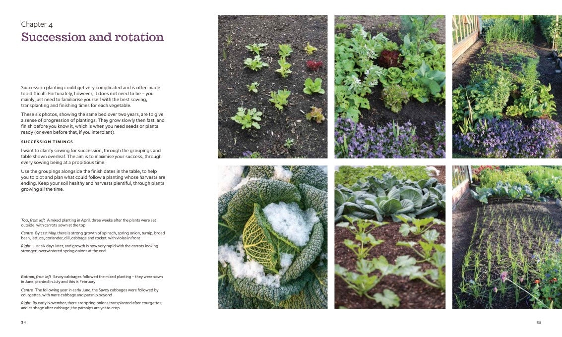 Charles Dowding's Skills For Growing: Sowing, Spacing, Planting, Picking, Watering and More