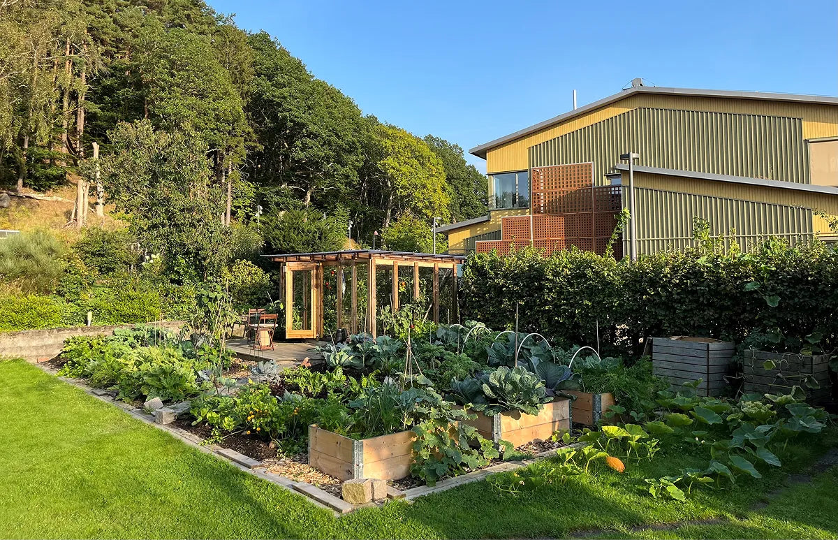 Sweden Tour - Full day workshop in Gothenburg