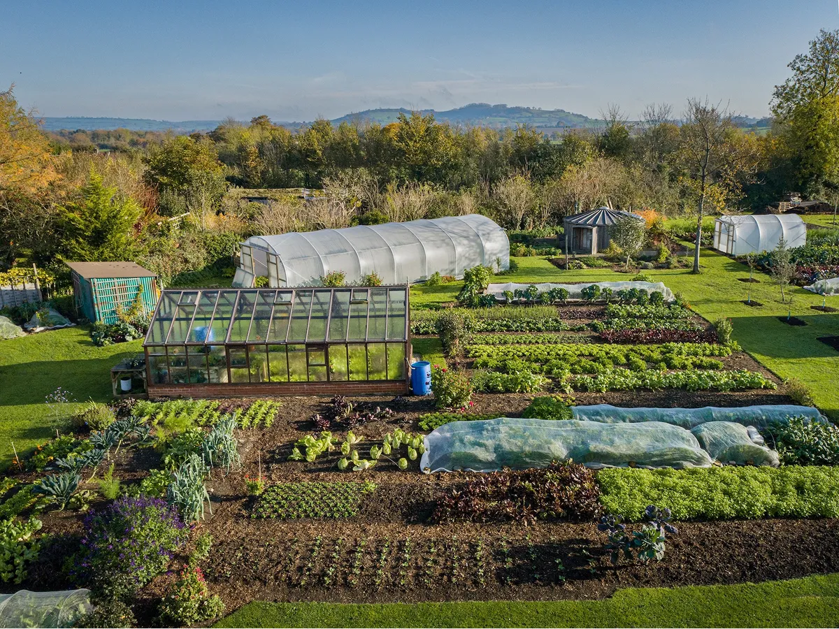 Skills For Growing - Online Course