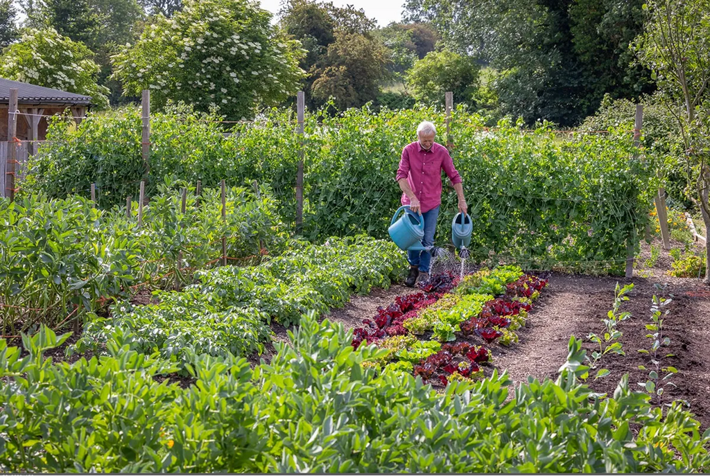 Skills for Growing - Online Course