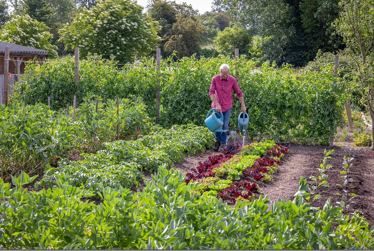 Skills For Growing - Online Course