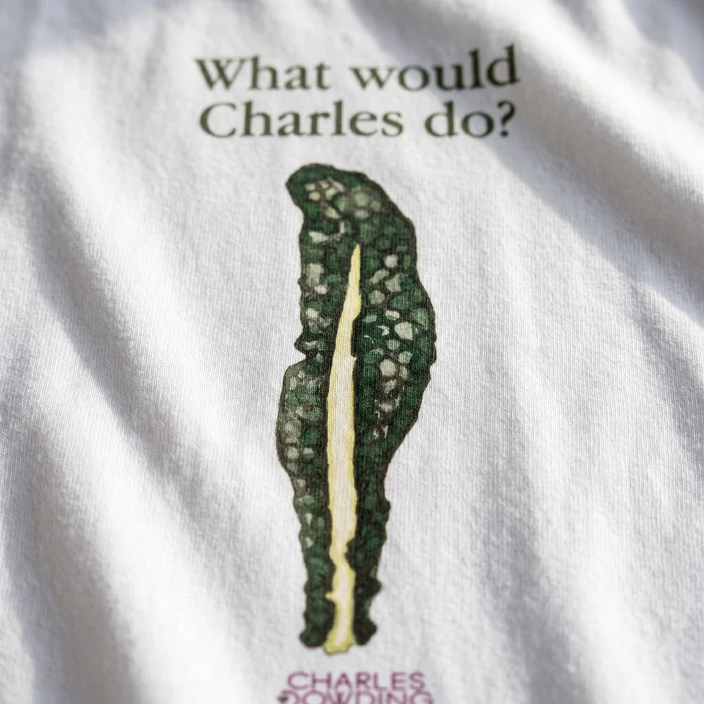 No Dig Kale 'What would Charles do?' T-shirt