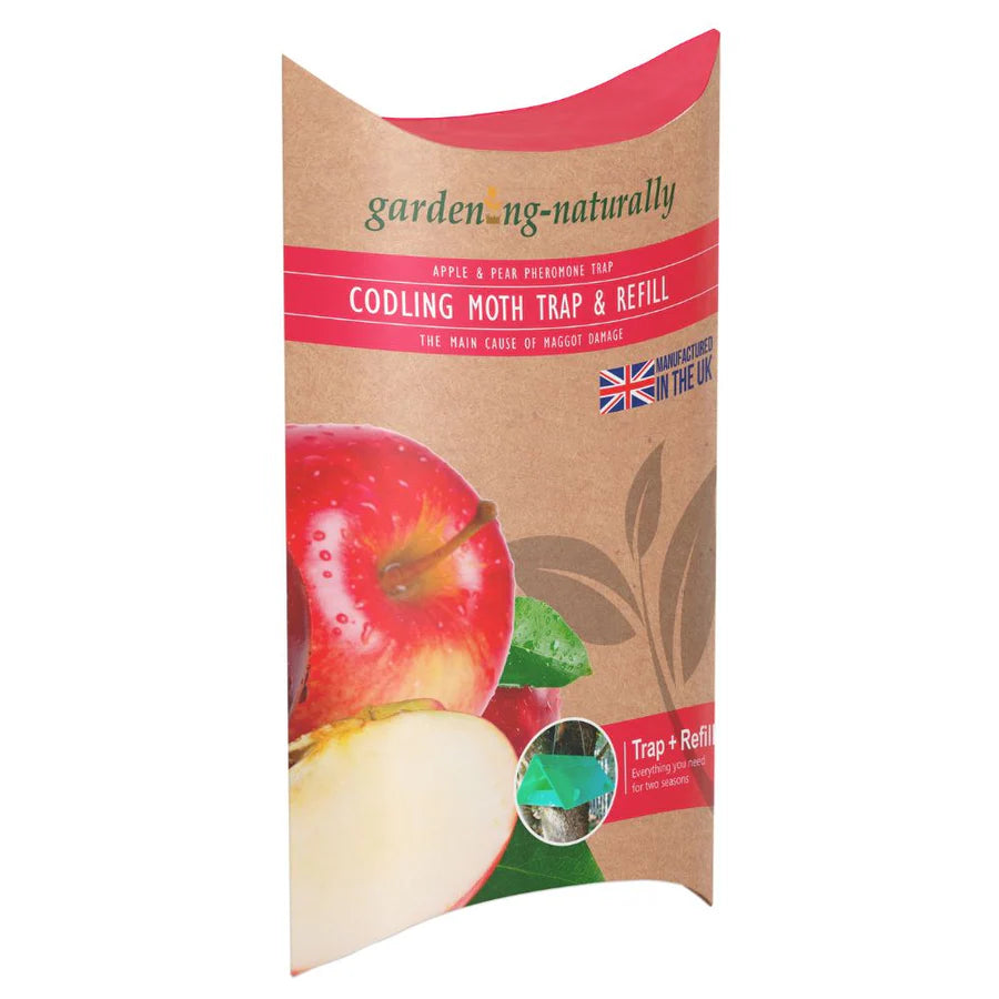 Codling moth pheromone traps